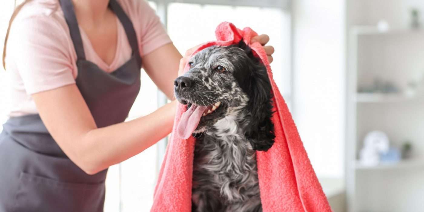 trimsalon website 1 scaled