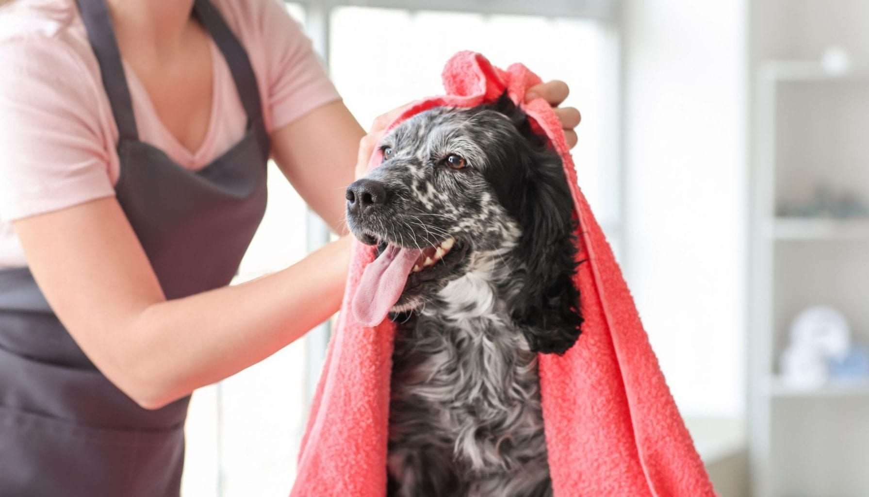 trimsalon website 2 scaled