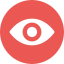nybe cyber security icon eye oog vulnerability scan