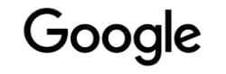 NYBE I.T. partner in Hasselt logo Google