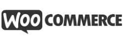 NYBE I.T. partner in Hasselt logo Woocommerce