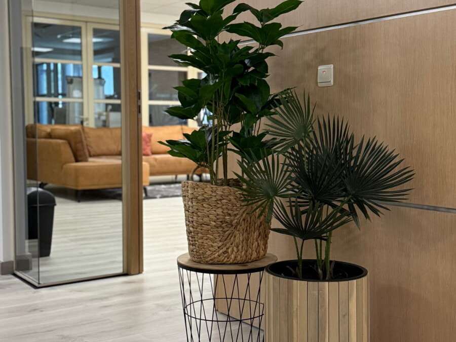 NYBE professionele software op maat in Hasselt gezellig kantoor met planten en zetel